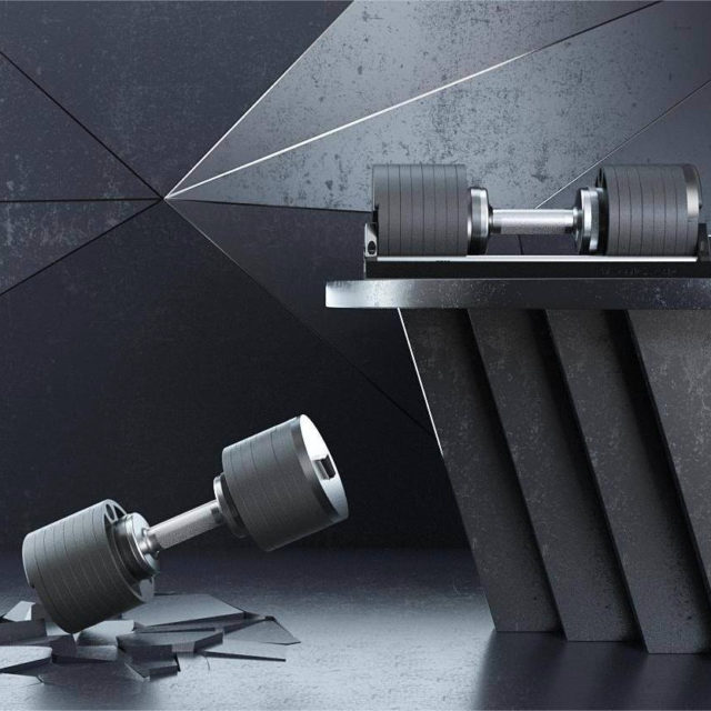 Snode AD80 Adjustable Dumbbells & Stand Set | MAXUM Fitness