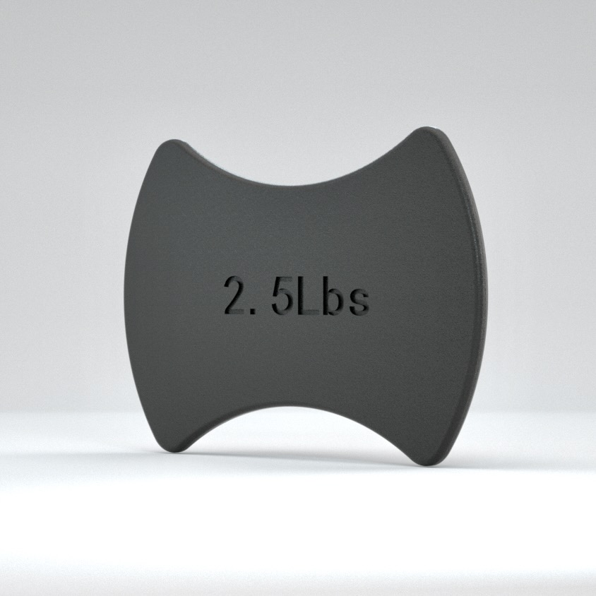 MAXUM 2.5 lb Magentic Weights – 4